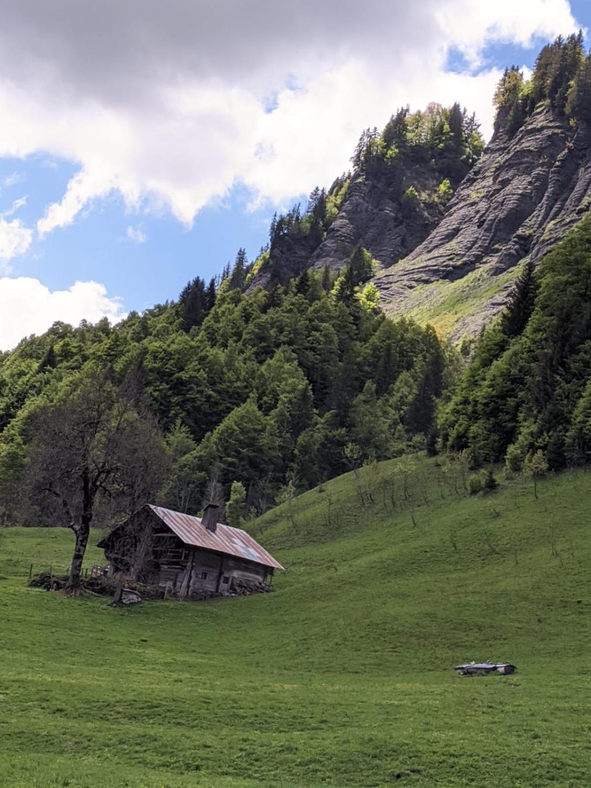 La Duchere 6 Personnes Le Plan La Giettaz Esterno foto