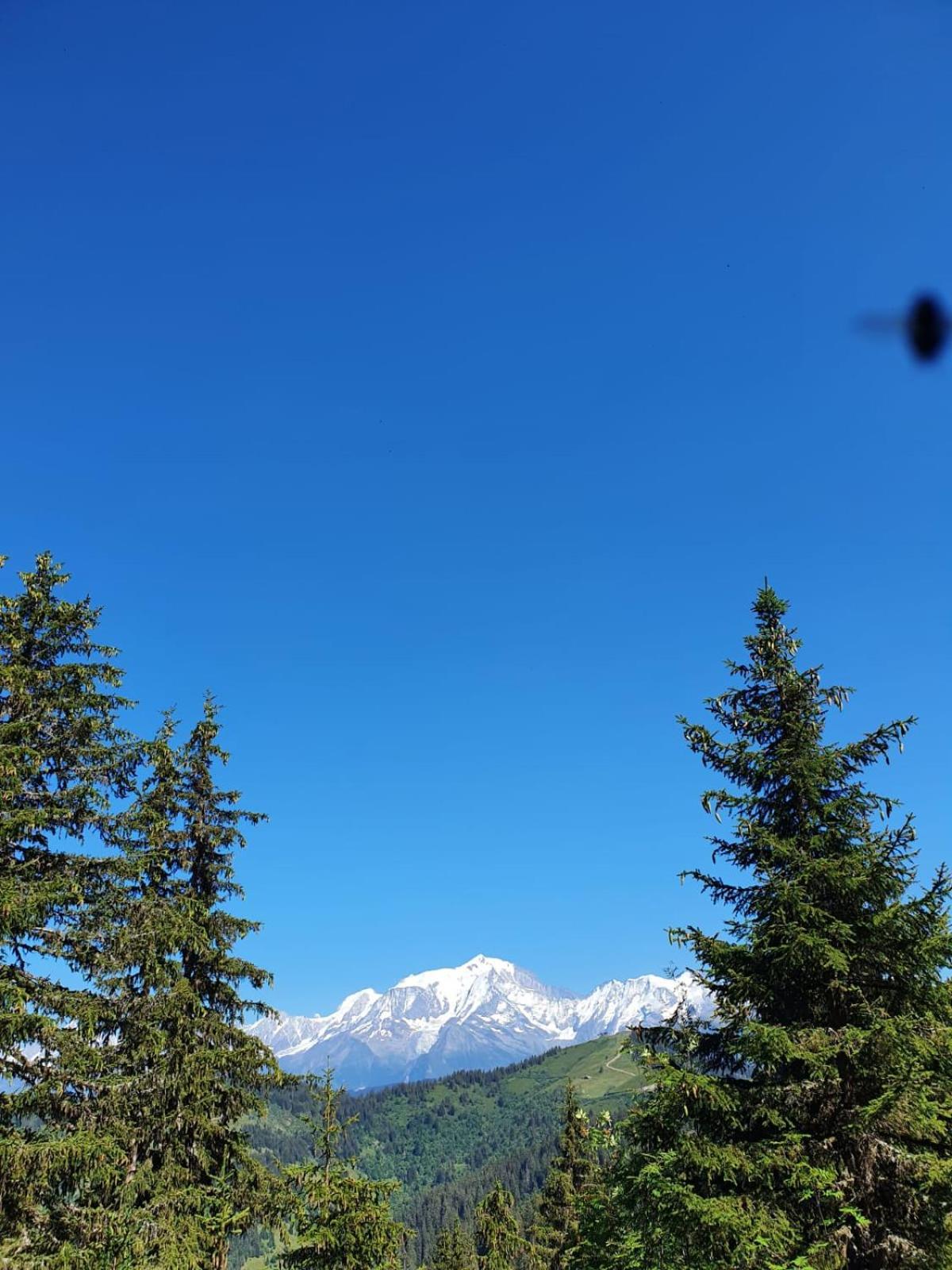 La Duchere 6 Personnes Le Plan La Giettaz Esterno foto